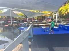 -新加坡水上探险乐园