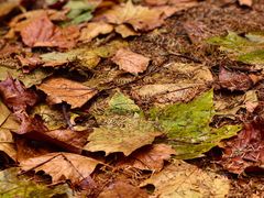 -山王坪喀斯特国家生态公园