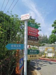 点击看大图 -前小桔亲子创意农场·草莓采摘·露营烧烤