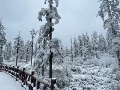 -瓦屋山景区