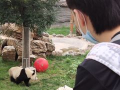 -辛玛王国游乐园