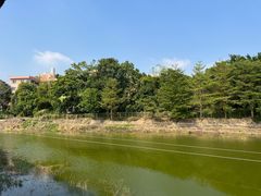 -庭苑美食中心·陈皮烧鹅·海鲜(台山店)