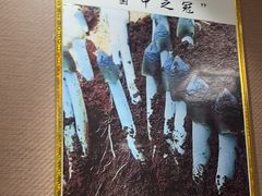 -菌之家·专业纯野生菌火锅·特色炒菌