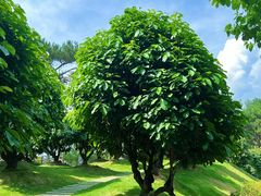 -白云山风景名胜区