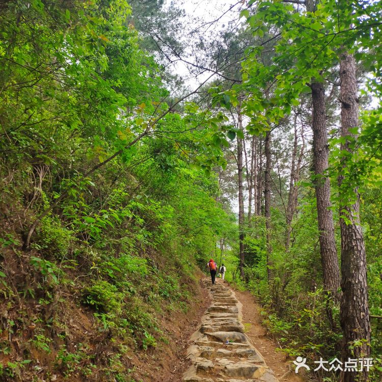 广东秦汉古道||适合户外小白的徒步路线