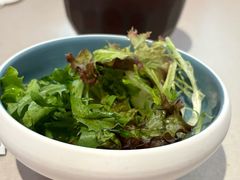-dodonpa.墩墩伐 便当食堂(博华广场店)