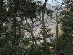 -灵隐飞来峰景区