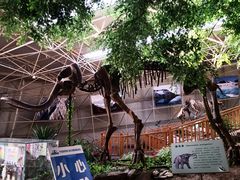 -中国第四纪冰川遗迹陈列馆