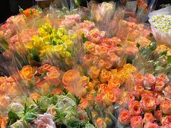 -循礼门鲜花花市(武汉循礼门店)