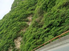 -秦岭服务区餐厅(京昆高速店)