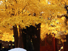 -承恩寺