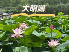 -济南大明湖景区