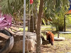 -灵玲国际马戏城