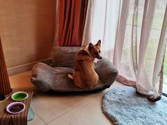 -太阳岛度假酒店