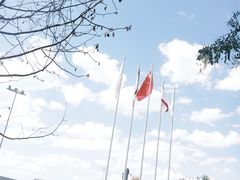 -西安唐隆国际酒店(大雁塔大唐不夜城店)