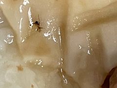 -熙盛源(苏苑街店)