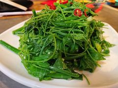 凉拌丝瓜尖-海拉尔碳烤羊腿烤鸽子(吕营店)