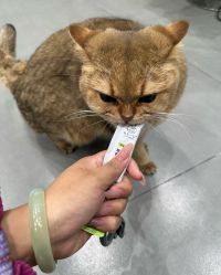 -洛伊科技抗衰护肤中心