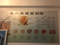 -宜肤清颜专业祛痘问题肌修护