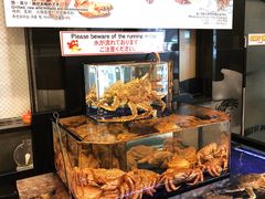 -蟹道乐(道顿堀本店)