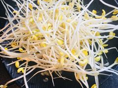 -渝涯重庆豆花老火锅(中赢国际店)