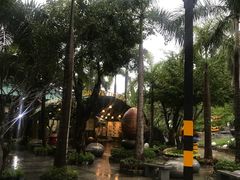 -100蛋泥浆浴