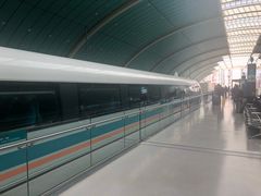 -龙阳路磁悬浮列车总站-停车场