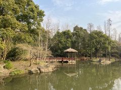 -上海滨江森林公园