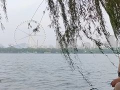 -济南国际园博园