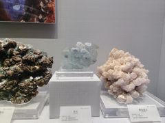 -湖南省地质博物馆