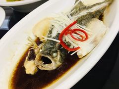 -金龙渔港(双楠店)