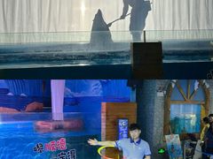 -顺德南宏海立方海洋公园