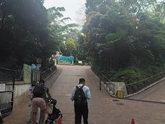 -九龙公园