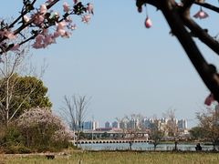 -澹台湖公园