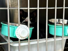 -美联众合动物医院·24h京西诊疗中心