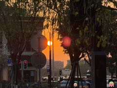 -金利茶餐厅(中船汇店)