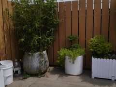 -西安含光君悦酒店