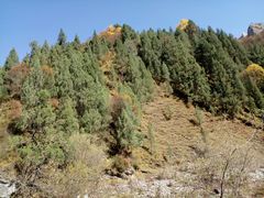 -互助北山国家地质公园漂流