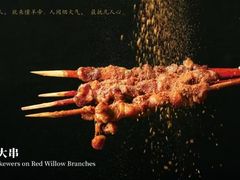 -懂羊帝·羊蝎子·北京菜(小关店)