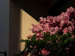 -胜达影像·佳能哈苏索尼
