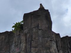 -海南热带野生动植物园