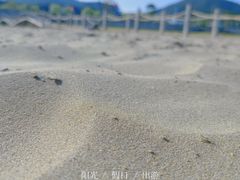 -东海半边山旅游度假区