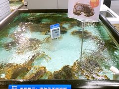 -盒马渔市餐厅