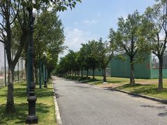 -恒大足球学校