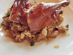 乳鸽-三号黄浦会Canton Table