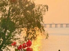 -宝安西湾红树林湿地公园