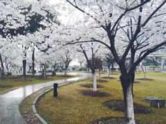 -江南大学(蠡湖校区)