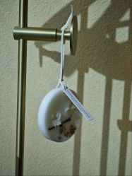 -小颜秘家·韩国整骨