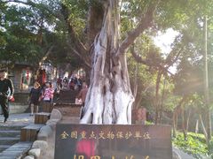 -胡里山炮台