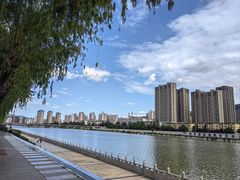 -胖子鱼·油泼甘谷辣子炝活鱼(秦州407店)